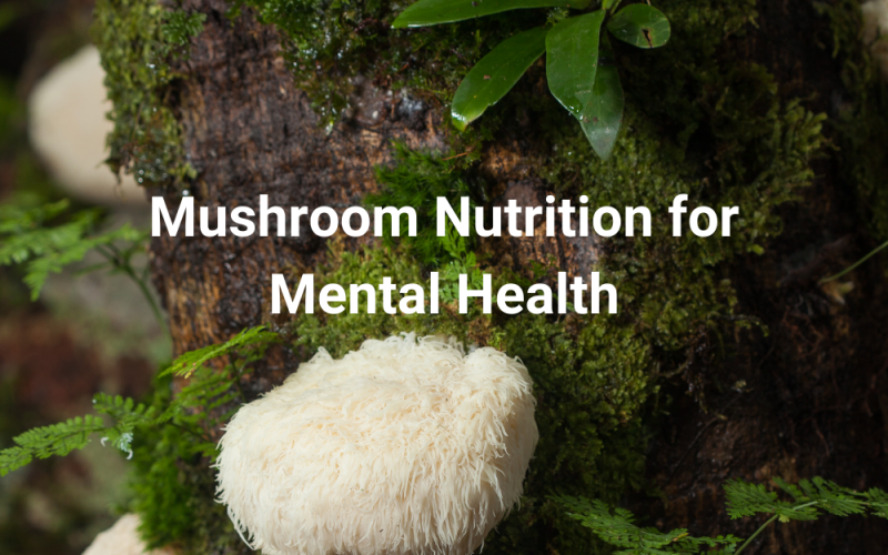 Hericium mushroom for mental health