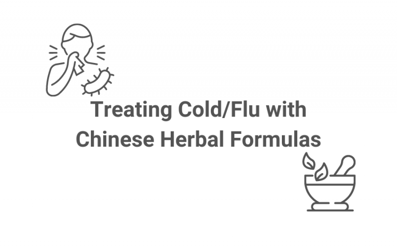 Beating Flu Seasons with TCM