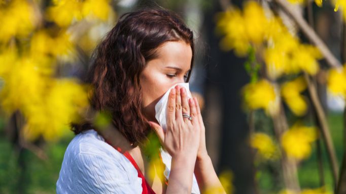 June 2023: Relieve Hay Fever and Allergies with Chinese Herb Supplements